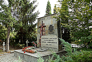 Szare Szeregi