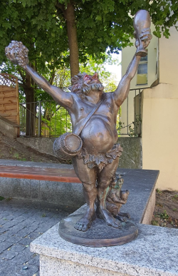 Bacusiki