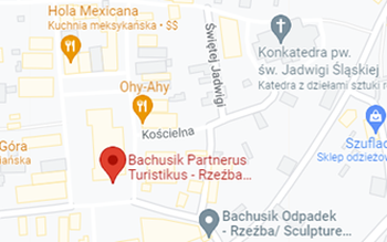 Bacusiki